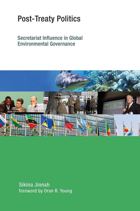 Cover image for book Post-Treaty Politics
