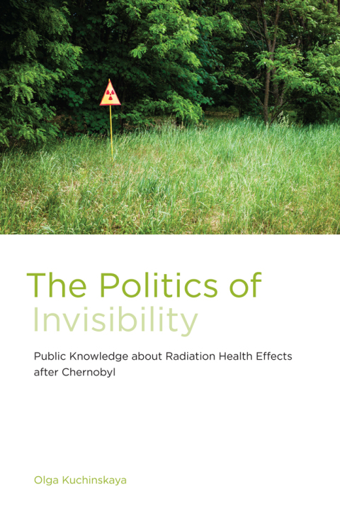 Cover image for book The Politics of Invisibility