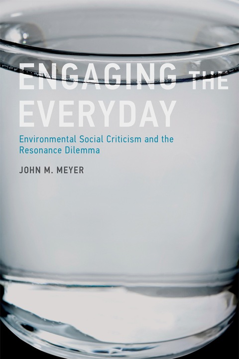 Cover image for book Engaging the Everyday