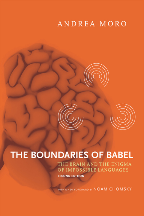 Cover image for book The Boundaries of Babel, second edition