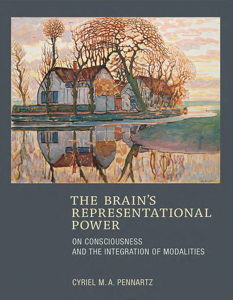 Cover image for book The Brain's Representational Power