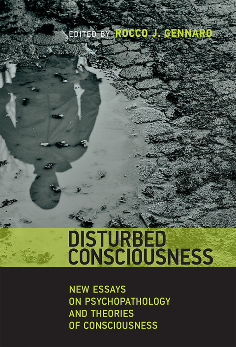 Cover image for book Disturbed Consciousness