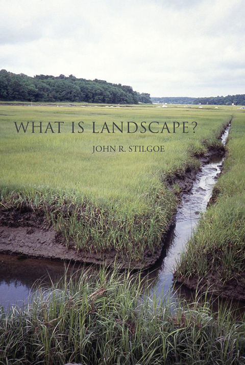 Cover image for book What Is Landscape?