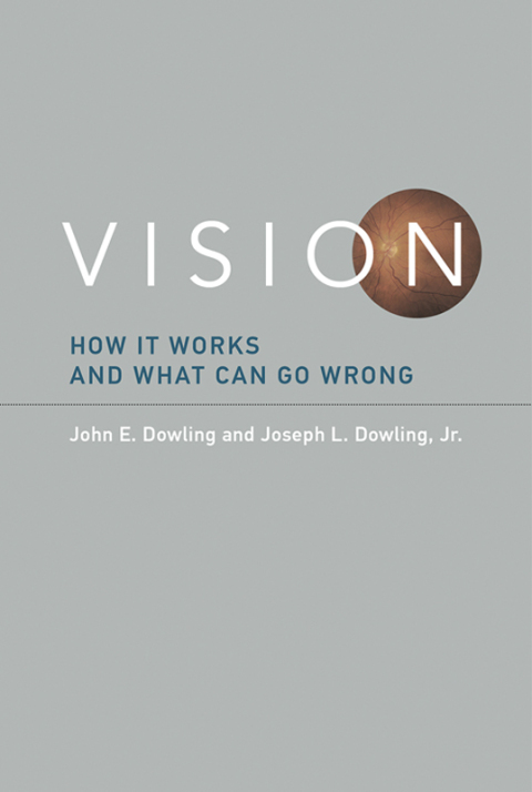 Cover image for book Vision
