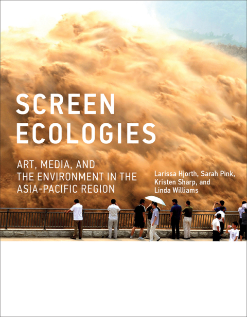Cover image for book Screen Ecologies