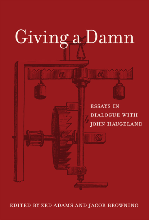 Cover image for book Giving a Damn