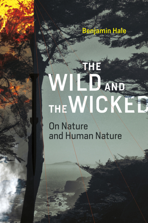 Cover image for book The Wild and the Wicked