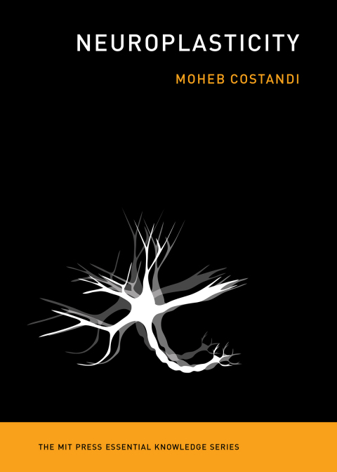 Cover image for book Neuroplasticity