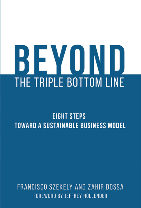 Cover image for book Beyond the Triple Bottom Line