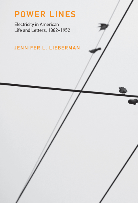 Cover image for book Power Lines