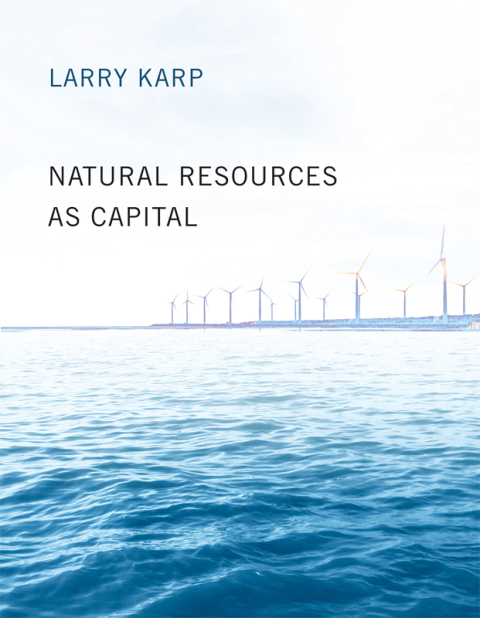Cover image for book Natural Resources as Capital