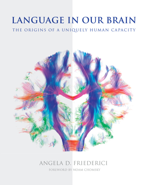 Cover image for book Language in Our Brain