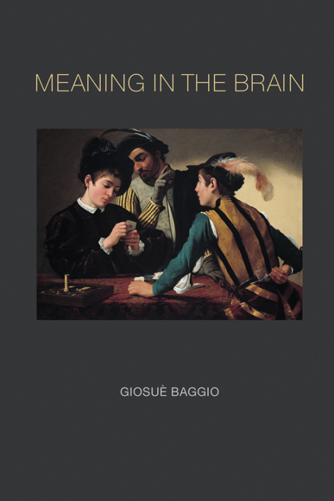 Cover image for book Meaning in the Brain