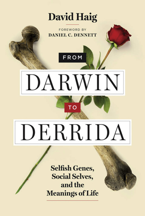 Cover image for book From Darwin to Derrida