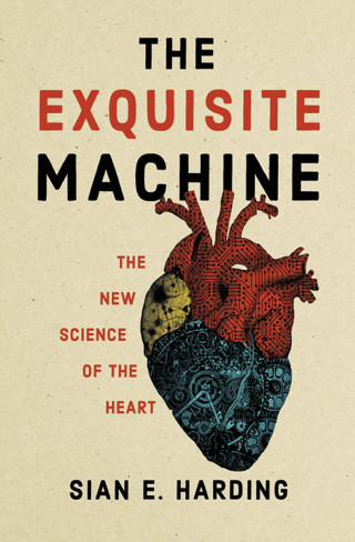 The Exquisite Machine