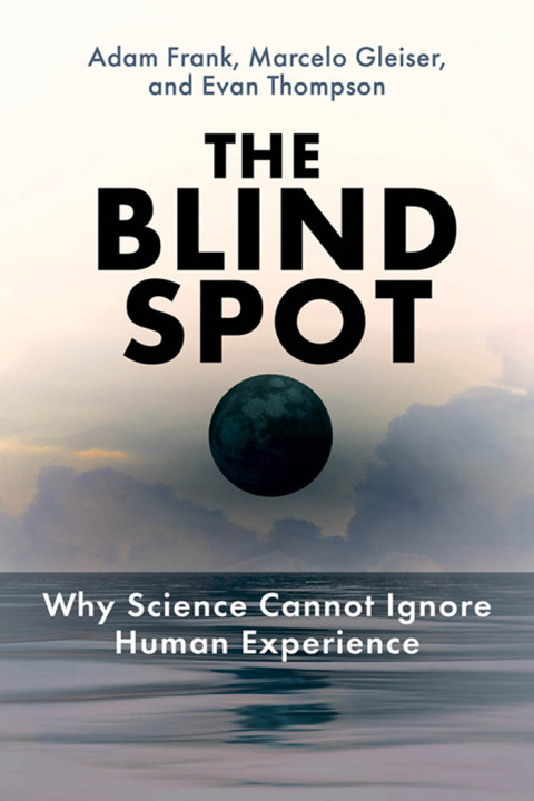 Cover image for book The Blind Spot