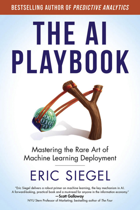 Cover image for book The AI Playbook