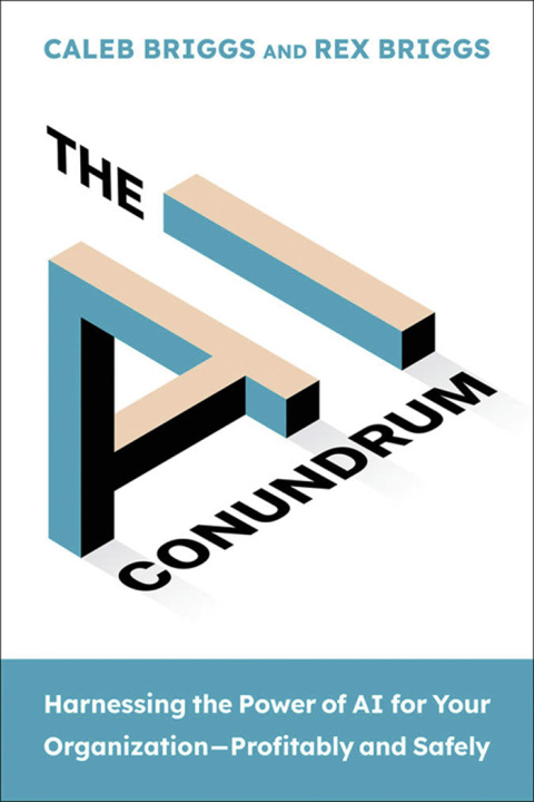Cover image for book The AI Conundrum