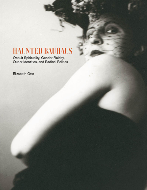 Cover image for book Haunted Bauhaus