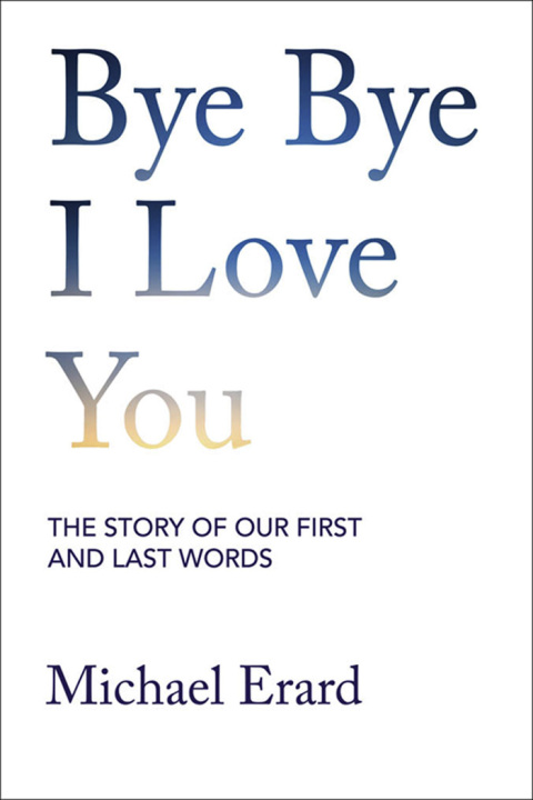 Cover image for book Bye Bye I Love You