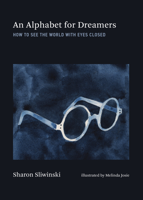 Cover image for book An Alphabet for Dreamers