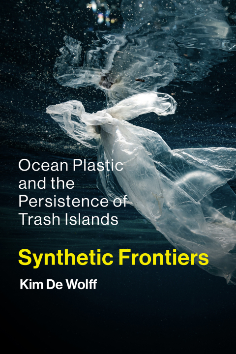 Cover image for book Synthetic Frontiers