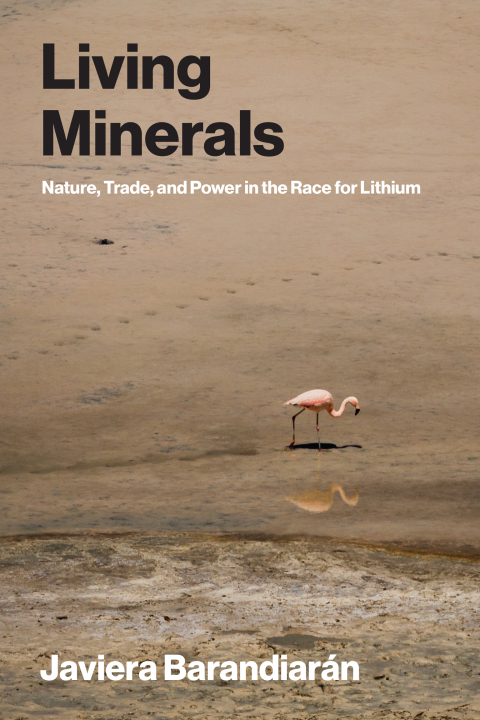 Cover image for book Living Minerals