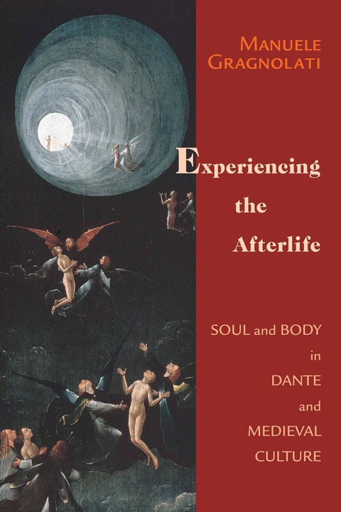 Cover image for book Experiencing the Afterlife
