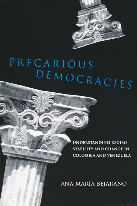 Cover image for book Precarious Democracies