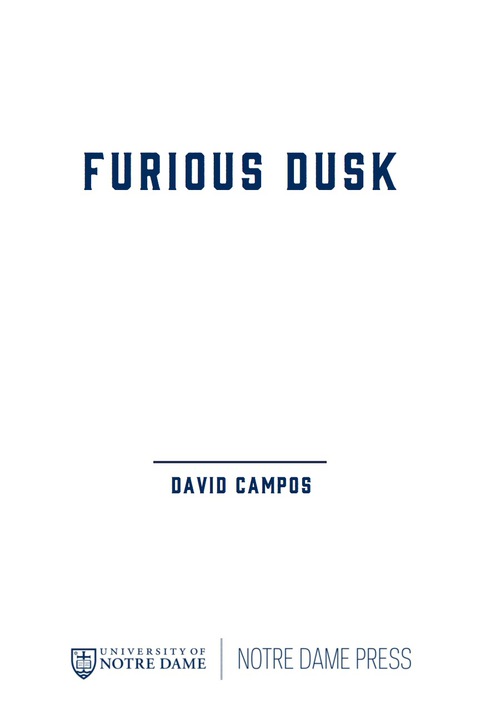 Cover image for book Furious Dusk