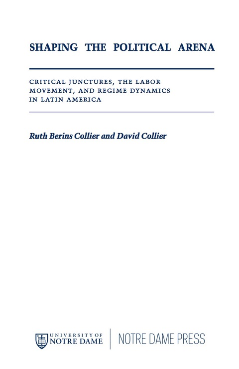 Cover image for book Shaping the Political Arena