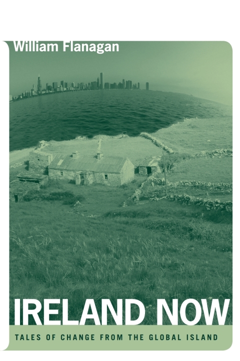 Cover image for book Ireland Now