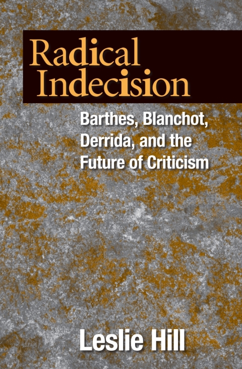 Cover image for book Radical Indecision