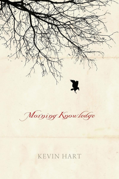 Cover image for book Morning Knowledge