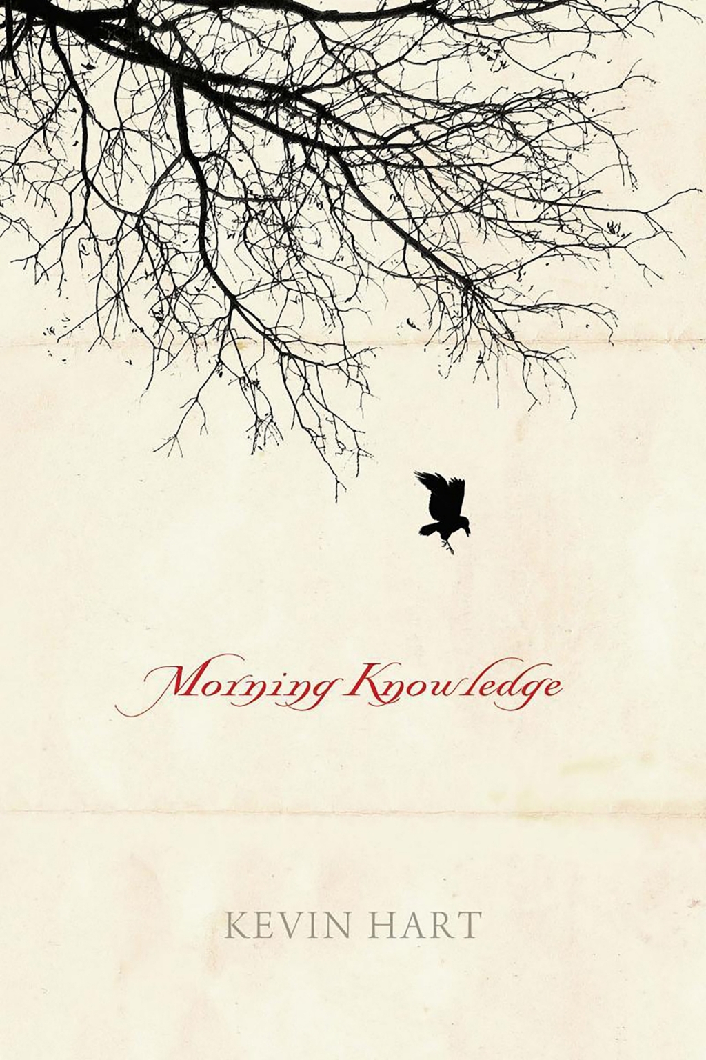 Page Fidelity Morning Knowledge; $15.53