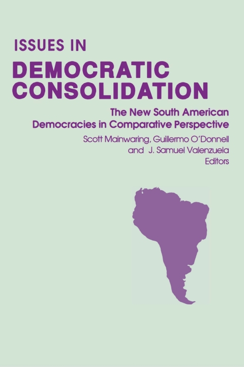 Cover image for book Issues in Democratic Consolidation