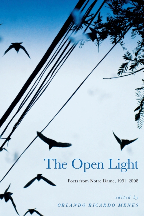 Cover image for book The Open Light