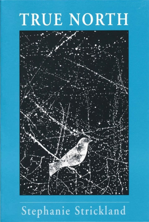 Cover image for book True North