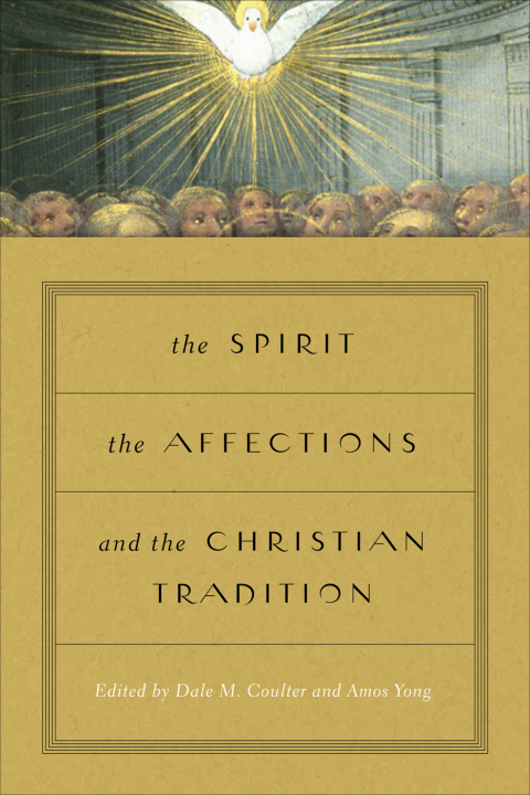 Cover image for book The Spirit, the Affections, and the Christian Tradition