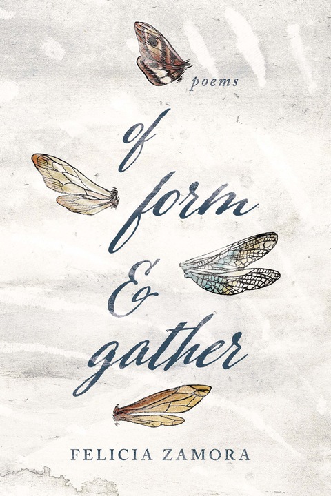 Cover image for book Of Form & Gather