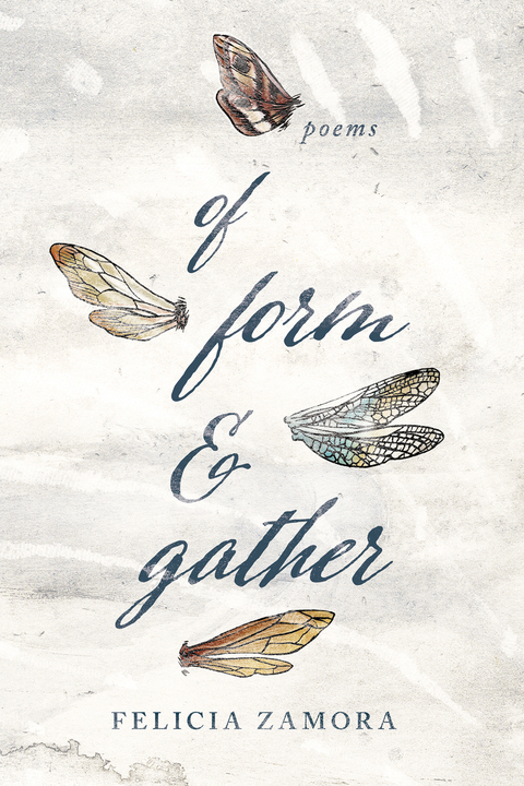 Cover image for book Of Form & Gather