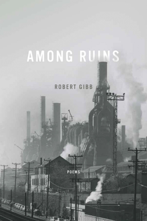 Cover image for book Among Ruins