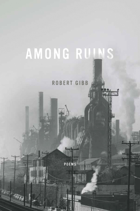 Cover image for book Among Ruins