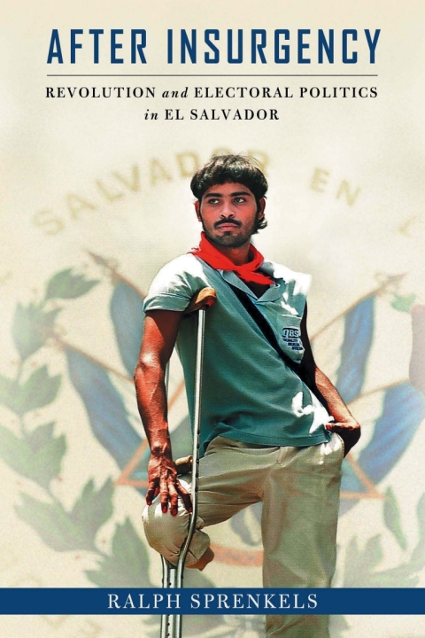 Cover image for book After Insurgency