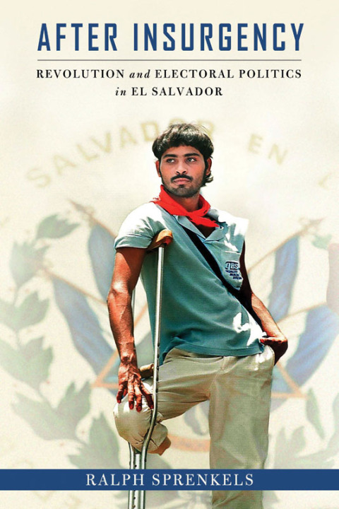 Cover image for book After Insurgency