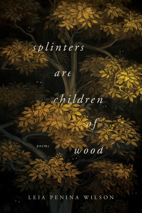 Cover image for book Splinters Are Children of Wood