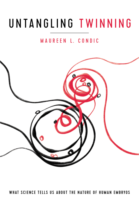 Cover image for book Untangling Twinning