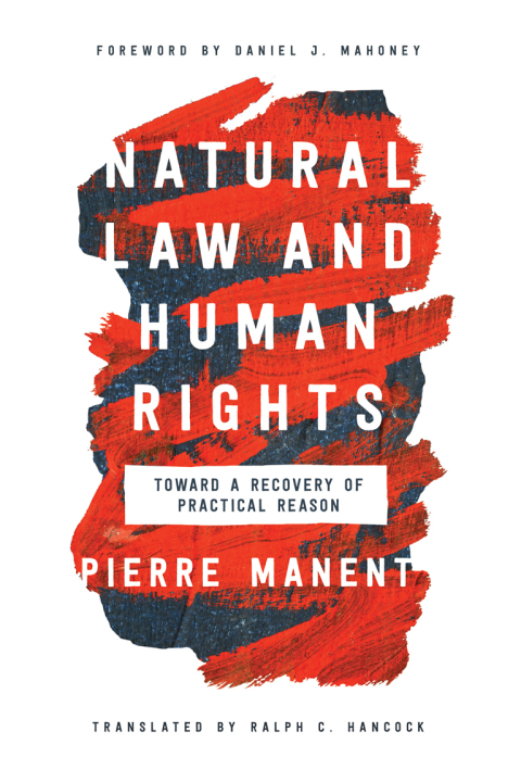 Cover image for book Natural Law and Human Rights