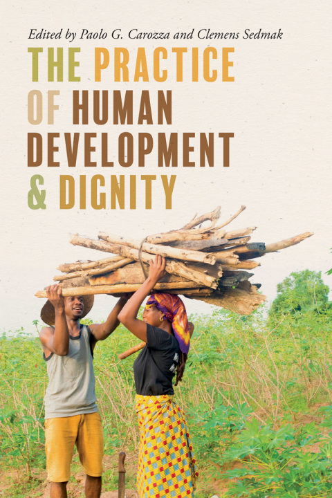 Cover image for book The Practice of Human Development and Dignity