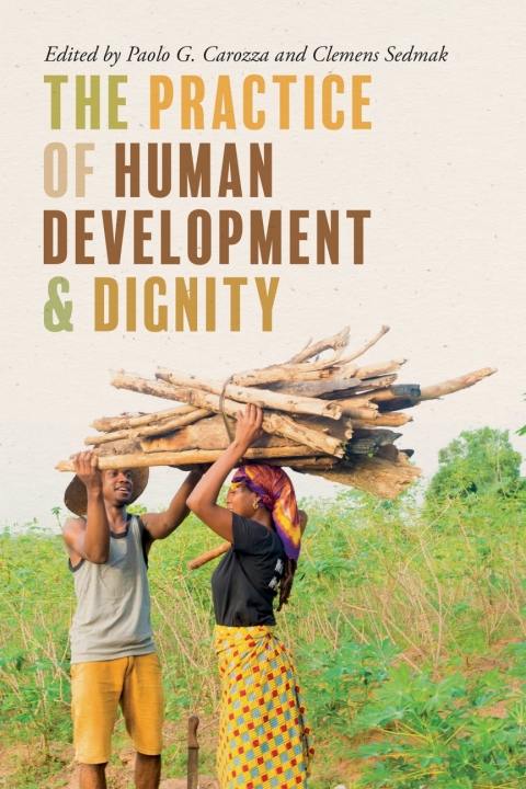 Cover image for book The Practice of Human Development and Dignity